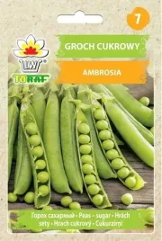 groch-ambrosia-wczesny-plenny-nasiona-50g-aromatyczny