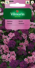 werbena-zwisajaca-vilmorin-nasiona-03g