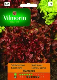 salata-lisciowa-czerwona-flamenco-02g-vilmorin-garden-wczesna-zbior-calor