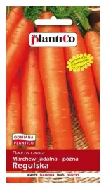 marchew-regulska-5-g-pozna-odporna-na-choroby