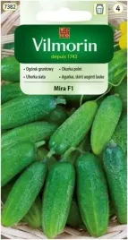 ogorek-mira-wczesny-bujny-zwrost-plenny-odporny-na-choroby-vilmorin