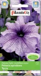petunia-wielkokwiatowa-teczowa-plantico-nasiona