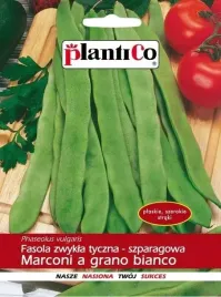 fasola-szparagowa-tyczna-marconi-10g-plantico