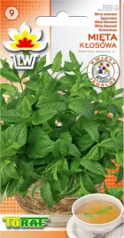 mieta-klosowa-roslina-wieloletnia-o-wlasciwosciach-leczniczych-ziola-aromat