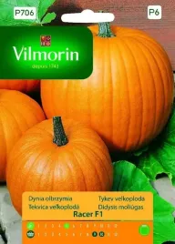 dynia-zwyczajna-racer-f1-10ziaren-vilmorin-garden-na-hallowin