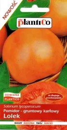 pomidor-lolek-zolto-pomaranczowy-do-dlugiego-przechowywania-plantico