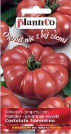 pomidor-wloski-costoluto-fiorentino-zebrowany-miesisty-plenny-aromatyczny