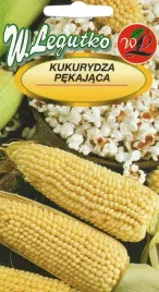 kukurydza-pekajaca-dobosz-nasiona-legutko-10g