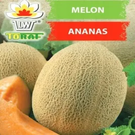 melon-ananas-slodki-wyjatkowy-smak-plenny-nasiona