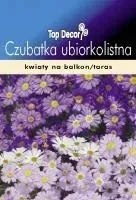 czubatka-ubiorkolistka-1000-nasion-na-balkon