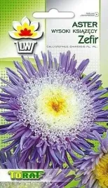 aster-ksiazecy-wysoki-zefir-1g-toraf-jasno-fioletowy-kremowy-sroek-nasiona
