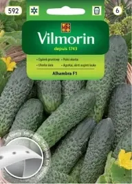 ogorek-alhambra-f1-partenokarpiczny-samopylny-vilmorin-na-tasmie-5m