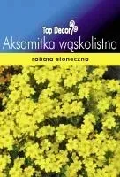 aksamitka-waskolistna-zolta-nasiona-200-sztuk