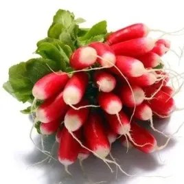 rzodkiewka-18-dniowa-rosnie-najszybciej-7-5g-nasiona