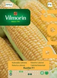 kukurydzy-vrustler-f1-5-g-pozna-kolby-dlugie-slodkie-plenna-do-mrozenia