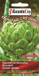 karczoch-zdrowe-warzywo-1g-nasiona-plantico