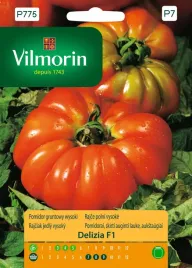 pomidor-gruntowy-wysoki-delizia-f1-01g-vilmorin