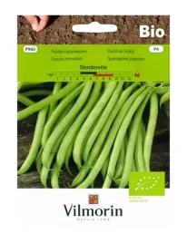 fasola-karlowa-zielona-slenderette-nasiona-30g-vilmorin-wczesna