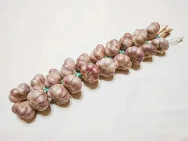 czosnek-harnas-warkocz-z-czosnku-20gl-5-5-6cm-duzy-ekologiczne