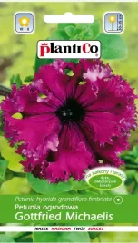 petunia-ogrodowa-gottfried-michaelis-fioletowa-karbowana-005-g