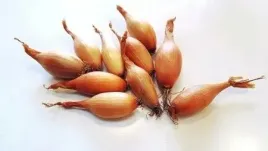 cebula-dymka-sopelek-zolta-najlepsza-jakosc-5kg-lekko-slodki-smak-worek