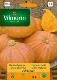 dynia-olbrzymia-uchiki-kuri-jadalna-skora-hokkaido