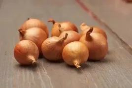 dymka-cebula-szalotka-zolta-golden-gourmet-500-g-jakosc-lekko-ostra