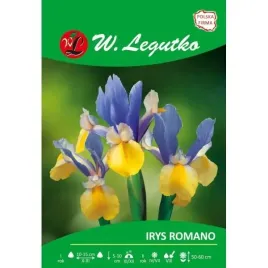 irys-holenderski-romano-zolto-niebieski-5szt-049