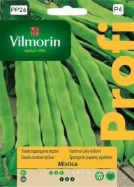 fasola-szparagowa-tyczna-zielona-mistica-10g-vilmorin-pozna