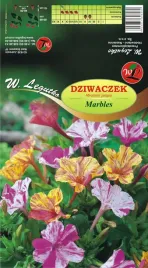 dziwaczek-jalapa-marbles-mieszanka-pstra-mix-1szt