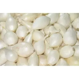 cebula-dymka-biala-1000g-najlepsza-jakosc-1kg-do-sadzenia-wiosenna-1000g