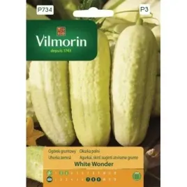 ogorek-bialy-gruntowy-white-wonder-vilmorin