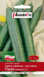 ogorek-salatkowy-topaz-pod-oslony-do-uprawy-wczesnej-odporny-nasiona-1g
