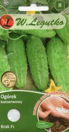 ogorek-gruntowy-krak-f1-nasiona-otoczkowane-50-szt