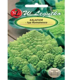 kalafior-zielony-romanesco-1g-na-zbior-jesienny-stozkowaty-atrakcyjny-smak