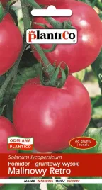 pomidor-malinowy-malinowy-retro-amatorski-nasiona