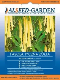 fasola-tyczna-zolta-typ-mamut-golden-gate-nasiona-holenderskie-pnaca-alseed