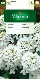 ubiorek-hiacyntowy-bialy-2g-vilmorin-nasiona