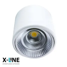 reflektor-led-punktowy-regulowany-20w-400-k-bialy