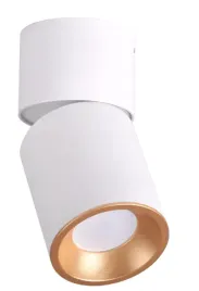 lampa-oprawka-natynkowa-oczko-bialo-zlota-gu10