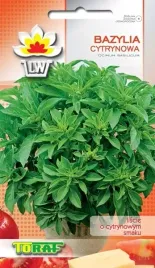 bazylia-cytrynowa-nasiona-ziol-05g-caly-rok