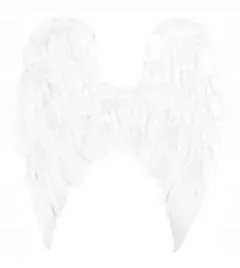 duze-skrzydla-aniola-aniolka-z-pior-stroj-kostium