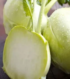 kalarepa-wiedenska-biala-wczesna-nasiona-warzyw