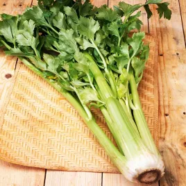 nasiona-seler-naciowy-zefir-1-gram-nowa-dostawa-wyjatkowy-smak