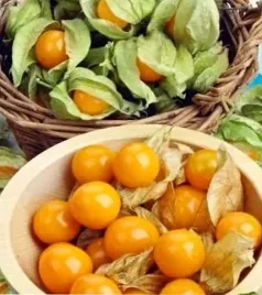 rodzynek-brazylijski-miechunka-peruw-nasion