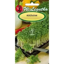 rzezucha-legutko-zbior-po-3-tygodniach-10g