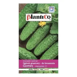 ogorek-gruntowy-gomes-f1-kwaszeniak-zaprawione-5g-srednio-wczesny-plenny