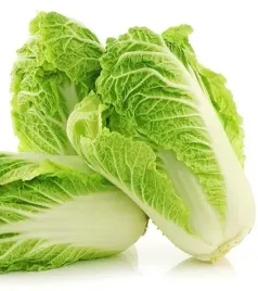 kapusta-pekinska-pacifiko-f1-odm-holenderska-odm