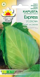 kapusta-stozkowa-super-wczesna-expres-nowa-dostaw
