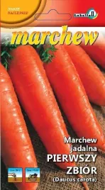 marchew-pierwszy-zbior-bardzo-wczesna-nowa-dostawa